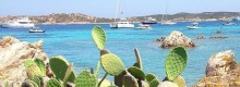 Il 2015 l'anno pi&ugrave; caldo mai registrato