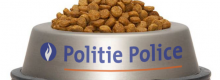 Bruxelles, la polizia ringrazia i gattini