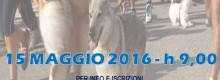 Zoomarket Shop  ti invita alla Maratona