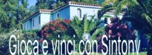 Sintony e il Cigno Bianco Ti Premiano