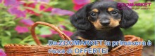 Sabato 21 maggio raccolta alimentare Zoomarket