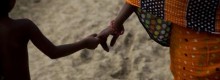 Terre emerse, Wwf: "Almeno il 40% &egrave; a rischio
