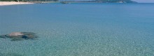 Radio Sintony e il Camping Villaggio Cigno Bianco
