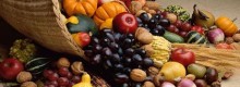 Sapori D Autunno seconda edizione