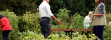 Obama alleato con l'Italia su cibo e ambiente