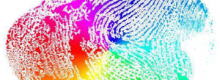 La Scelta del Colore