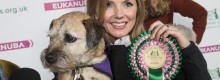 Jack � il Cane Eroe 2018 : aiuta la padrona
