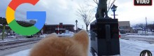 Google lancia la dog street view