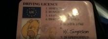 Denunciato per guida con patente di Homer Simpson
