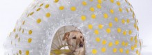 BowWow Haus: a Londra la prima mostra di cucce