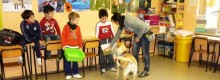 Siberia si va a scuola con il cane