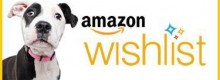 Amazon: 6 mila cani vanno in ufficio ogni giorno