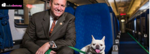 USA approva legge contro il massacro di cani