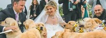 Matrimonio fuori dal Comune