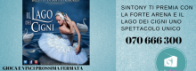Danza e sogna con Sintony e la Forte  Arena