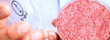USA arriva la carne sintetica