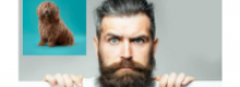 La Barba sta passando di moda?