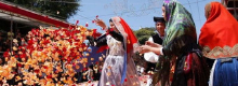 Efisio Il Santo che liber� Cagliari dalla Peste