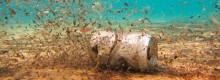 A Pesca di Plastica per salvare il mare
