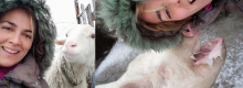 Fattoria Min� intervista ad Anna Careddu