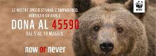 Oasi WWF  Aperte Domenica 19 Maggio
