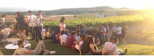 25 e 26 Maggio cantine aperte in Sardegna