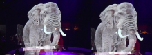 Finalmente il circo con gli Ologrammi