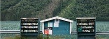 Mundal:  la citt� dei libri in Norvegia