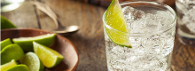 Il gin tonic per asma e rinite