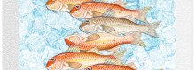 WWF lancia il Banco Interattivo di Pesce