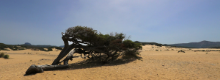 Dune Piscinas pi� belle d' Europa