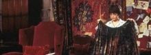 Il mantello di Harry Potter si pu� acquistare