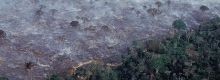 Cosa sta succedendo in Amazzonia
