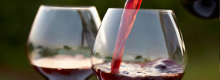 Un bicchiere di vino al giorno per la dieta