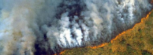 Terrore in Brasile: l�Amazzonia brucia