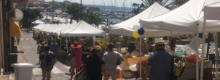 Un successo per la Fiera del Sud Ovest