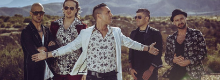 Mod� campione di incassi � Disco Promo