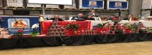 L�assemblea del Gruppo Isa compie 29 anni