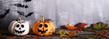 Vendita della Zucca per Halloween triplicata