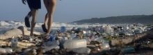 Un porno per l'ambiente