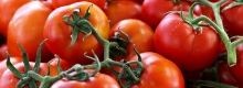 Ecco il vero colore dei pomodori