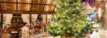 L'albero pi� costoso del 2019 si trova in Spagna