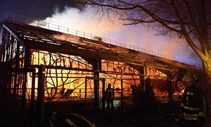 30 scimmie morte per un incendio allo zoo