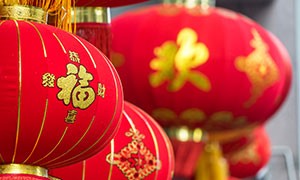 La Cina vieta la carne di cani e gatti
