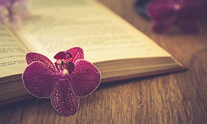 Un mondo di Libri ecco le letture consigliate