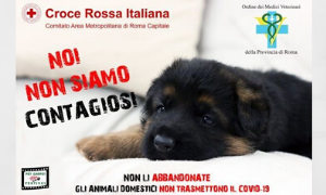Non abbandonate gli animali non portano Covid19