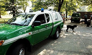 Corpo Forestale della Regione: 800 Controlli