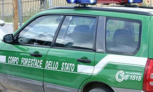 Forestale Sardegna: 12 persone segnalate