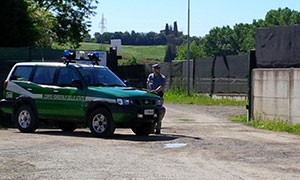 Corpo Forestale della Regione controlli 573