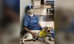 Wynn in corsia con la dottoressa aiuta medici